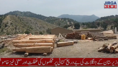 Photo of ضلع جنوبی وزیرستان کے علاقہ  خمرنگ اور شکئی میں جنگلات کی بے دریغ کٹائی جاری۔ٹمبر مافیا کے سامنے انتظامیہ بے بس
